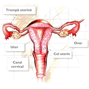 imagini cancerul uterin